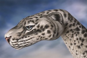 guido daniele Snow-Leopard-509x340