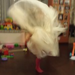 Un spectacol privat de balet