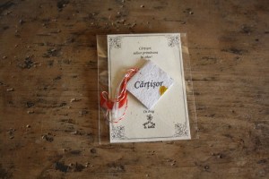 Cartisor2