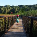 În pădure la Comana