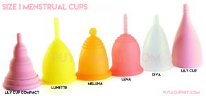 size1cups1-800x3761