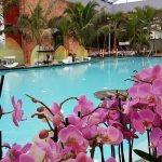Therme se extinde cu o zonă specială pentru familiile cu copii
