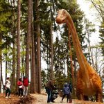 22 de lucruri de făcut cu copiii la Dino Parc Râșnov, lângă Brașov (p)