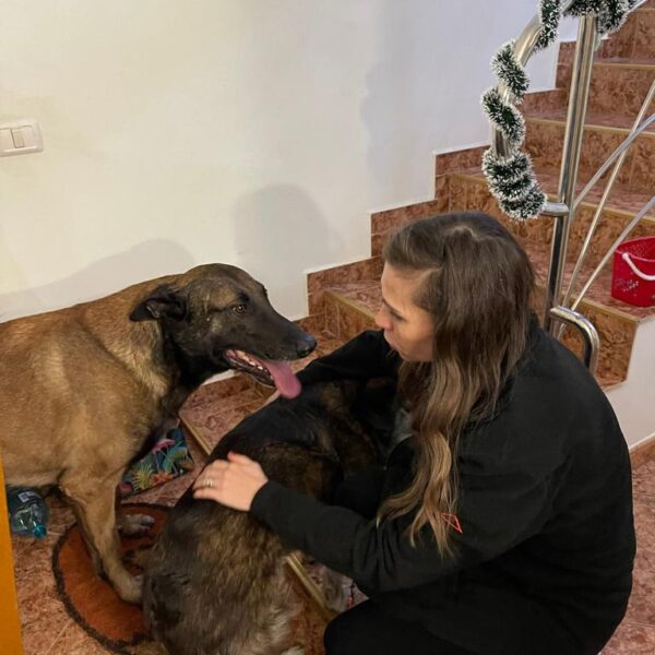 Pentru binele animalelor, sper să învățăm să ne bucurăm de Revelion și nunți fără petarde și artificii