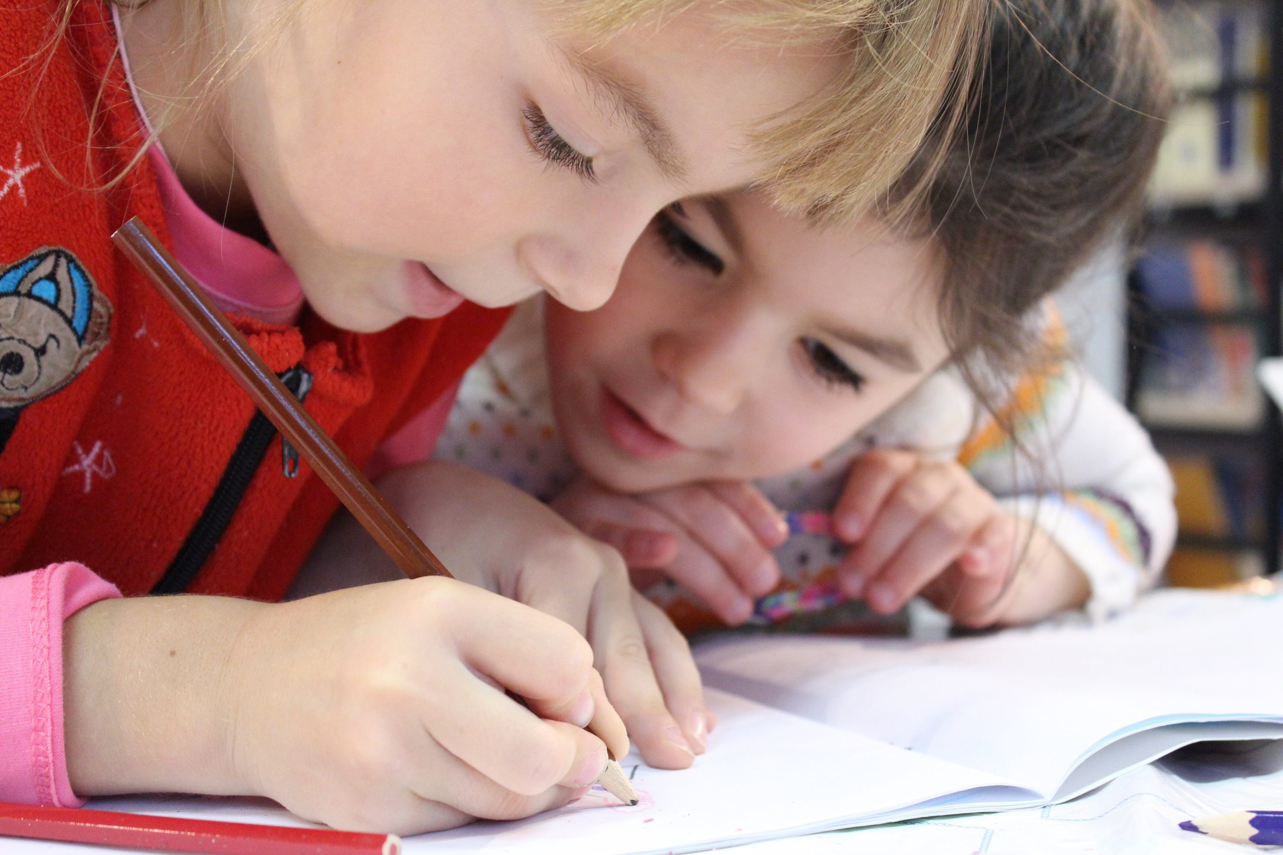 Cum învață copiii în școala primară din Olanda să dea și să primească feedback constructiv?